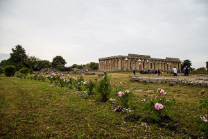 Area Archeologica di Paestum